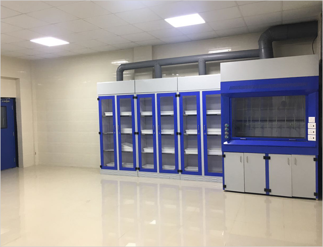 Fume Hood With Chemical Storage